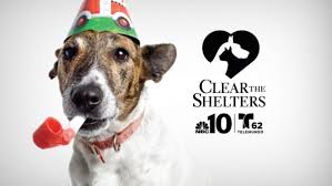 Clear the Shelters - John Partilla
